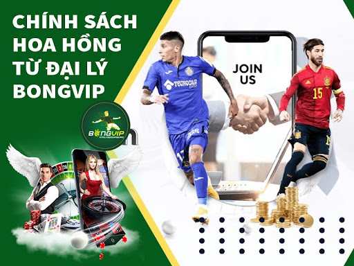 Chính sách trả hoa hồng cho đại lý BongVIP