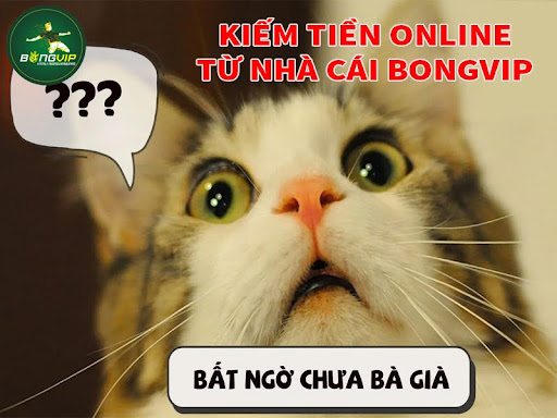 Kiếm tiền Online bằng cách làm đại lý cho nhà cái BongVIP